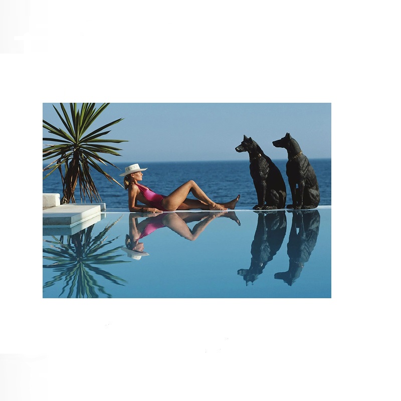 Retro Poolside Host Luxury Lif - огляд і ціна Luxury Lifestyle Living